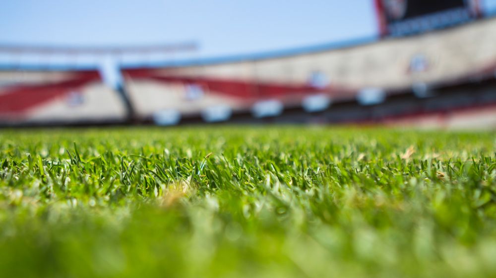 Field Stadium Soccer Argentina 61143